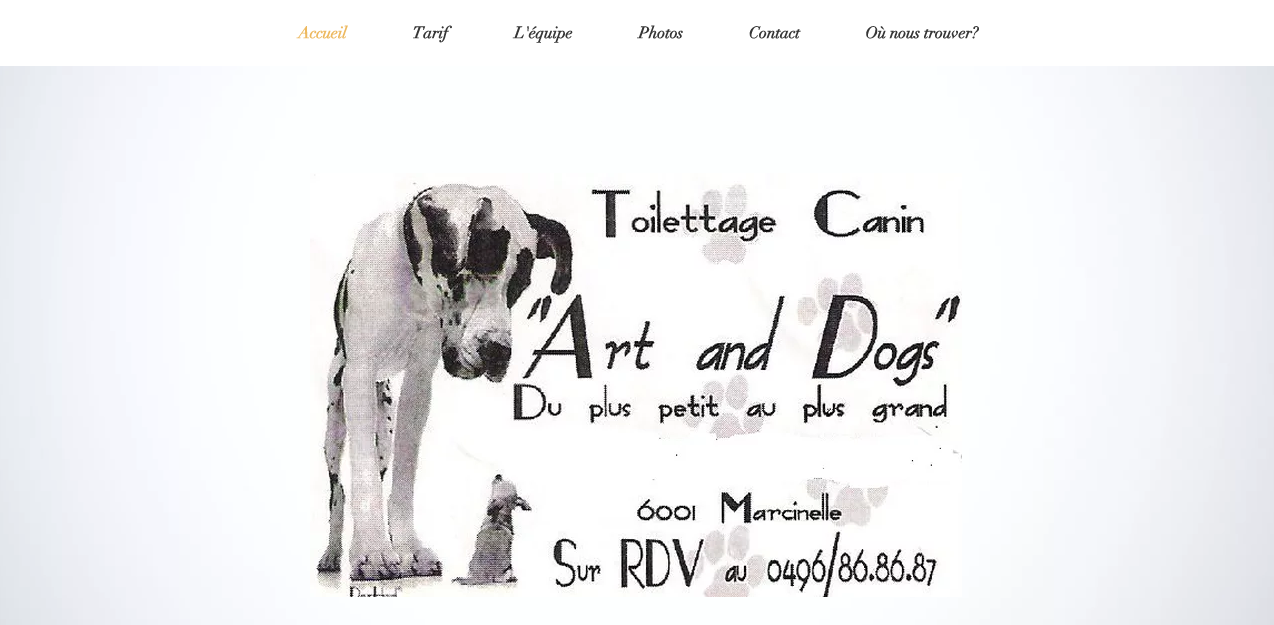 image du site 'art and dogs' 