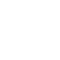 Sign language letter h